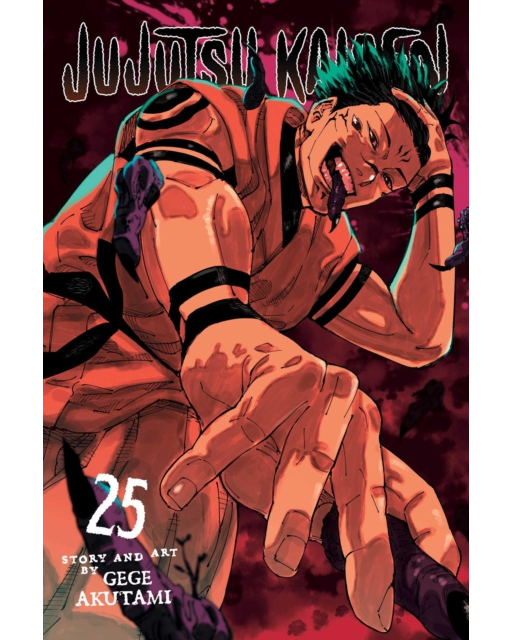 Jujutsu Kaisen Volume 25 - Gege Akutami (Paperback)